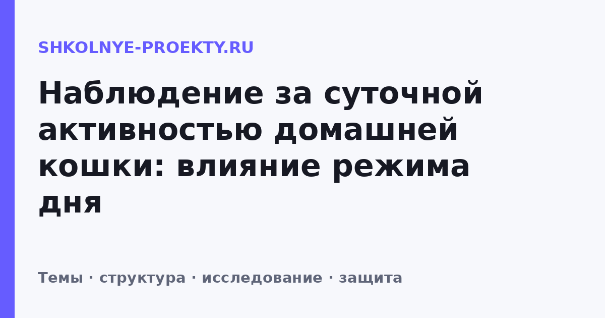 Наблюдение за суточной активностью домашней кошки: влияние режима дня