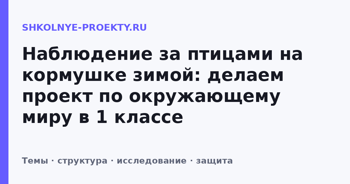 Наблюдение за птицами на кормушке зимой: делаем проект по окружающему миру в 1 классе